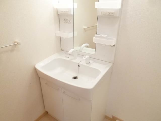 Washroom. Independent wash basin (The photograph is an image)