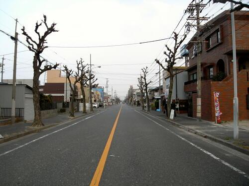 Local photos, including front road. Frontal road