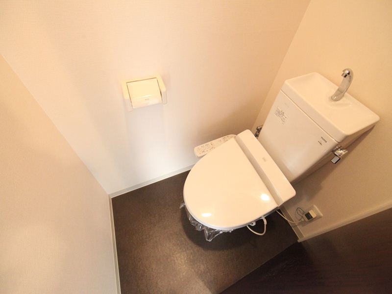 Toilet. Bidet with toilet