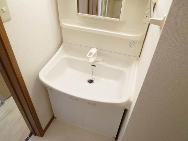 Washroom. Independent wash basin (The photograph is an image)