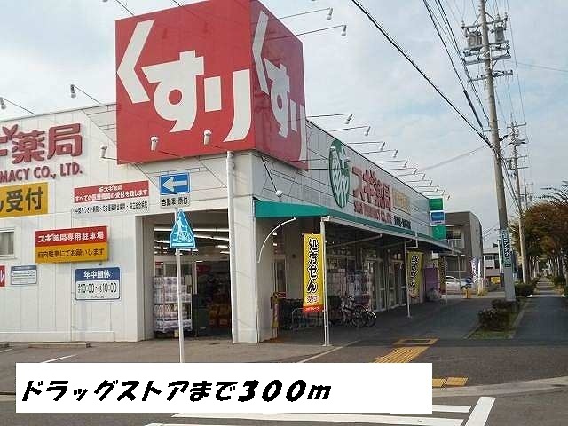 Dorakkusutoa. 300m until cedar pharmacy (drugstore)