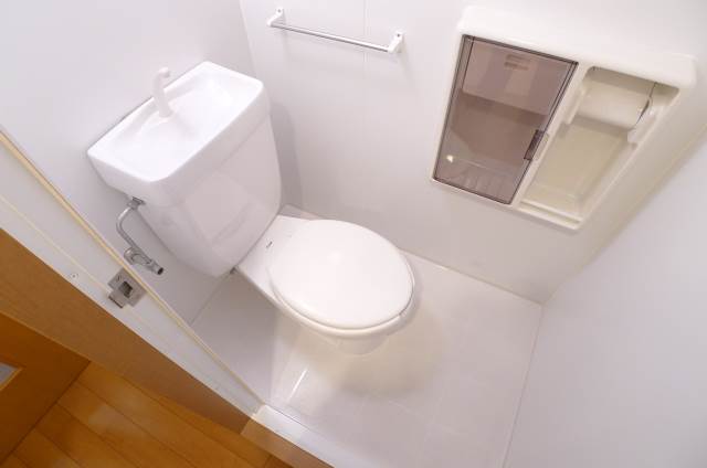 Toilet. Convenient holder with toilet!