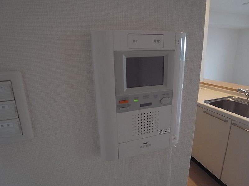 Security. Monitor with intercom