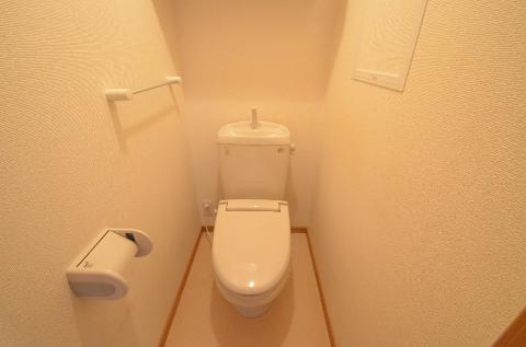 Toilet. WC