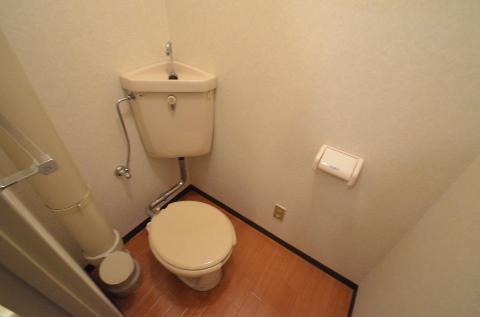 Toilet. WC