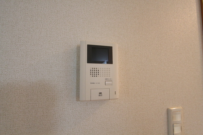 Security. TV monitor Hong