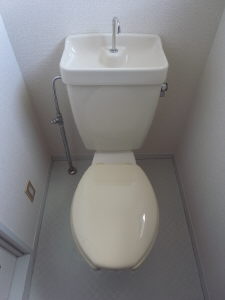 Toilet