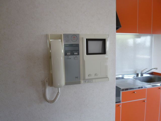 Security. Interphone with a monitor