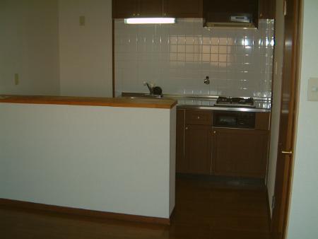 Kitchen. System kitchen