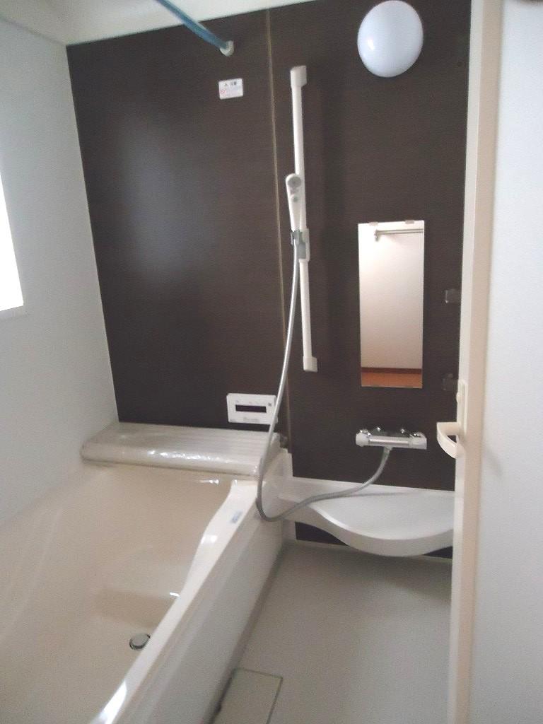 Bathroom. Indoor (10 May 2013) Shooting