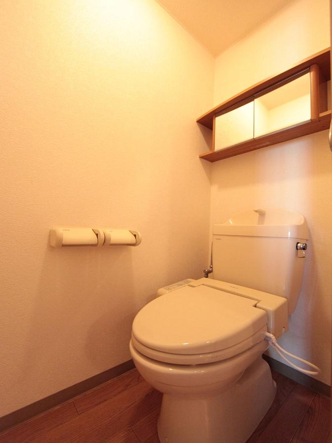 Toilet. With warm water washing toilet seat