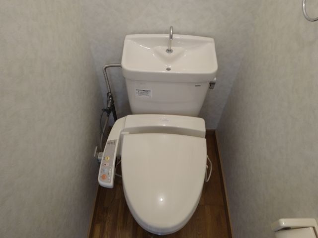 Toilet. Comfortable with a bidet