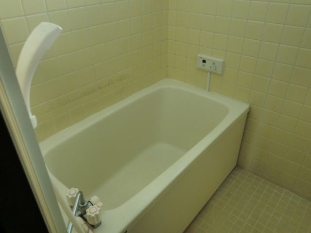 Bath. Clean bathtub! 
