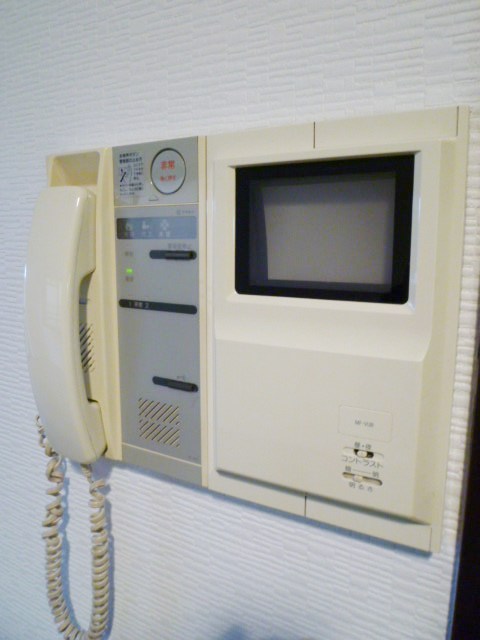 Security. Interphone with a monitor