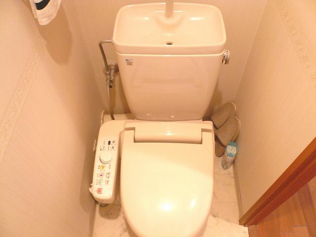 Toilet. Toilet with shower