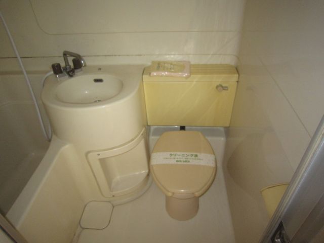 Toilet. Toilet