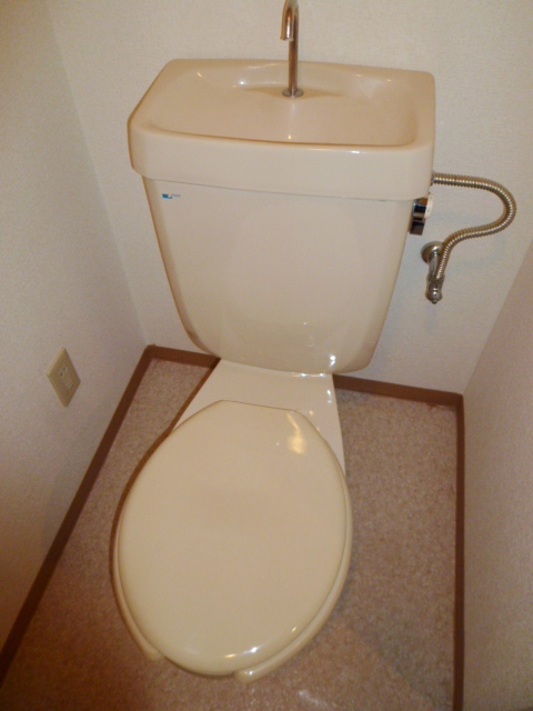 Toilet. WC