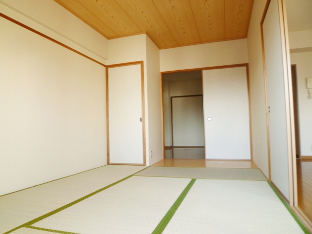 Other room space. Japanese style room