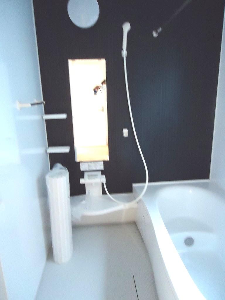 Bathroom. Indoor (10 May 2013) Shooting