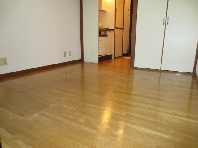 Living and room. The flooring at a stylish rug ...