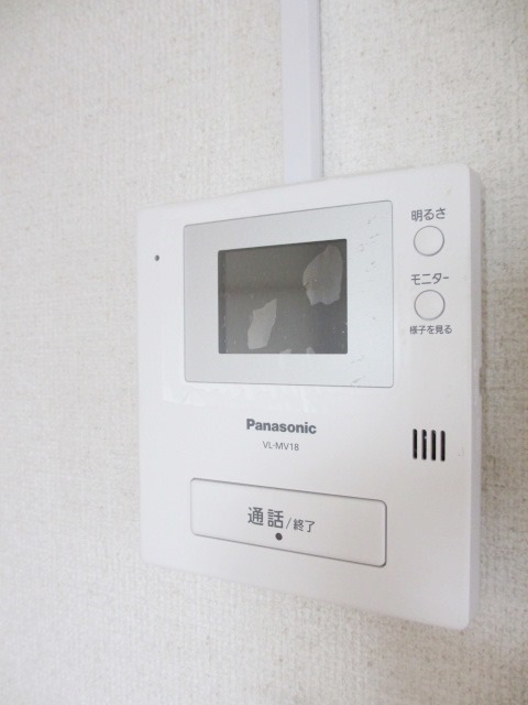 Security. Monitor with intercom