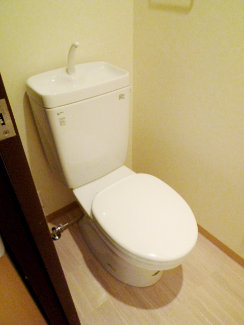 Toilet. Western-style toilet