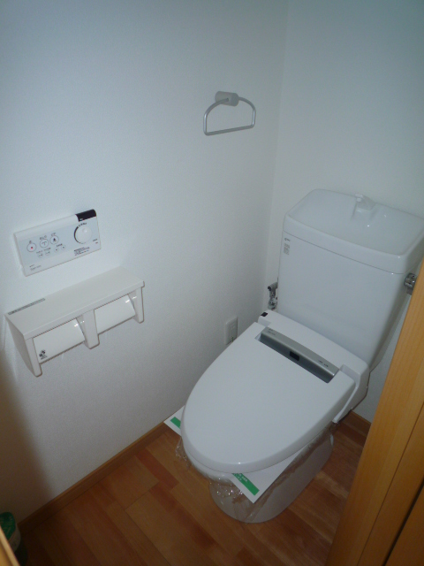 Toilet. Western-style toilet (shower toilet)