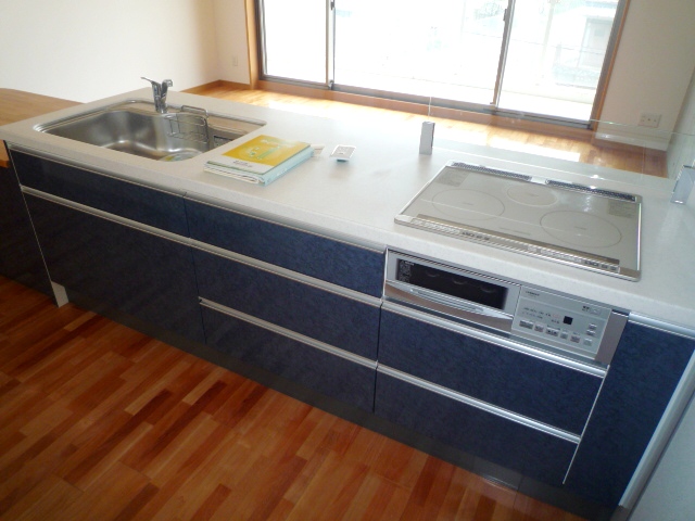 Kitchen. System kitchen (with IH cooking heater)