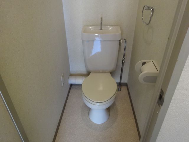 Toilet. Toilet