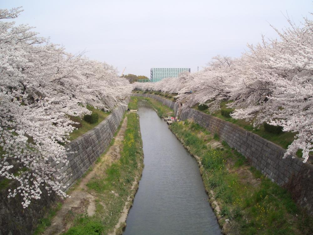 Other. Yamazaki River