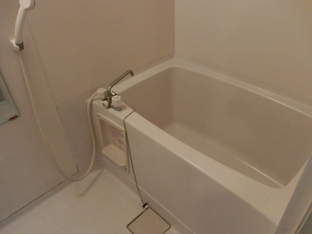 Bath. Spacious bathroom of white keynote