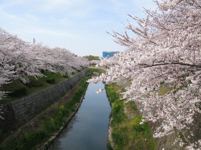 Other. 2-minute walk from the Yamazaki River