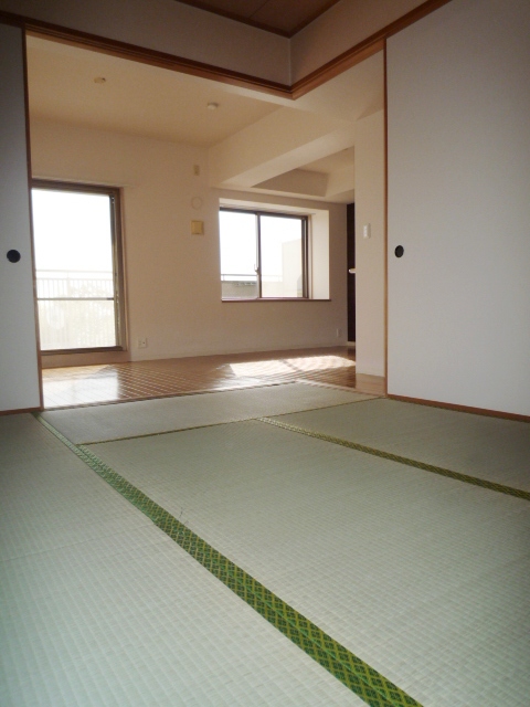 Other room space. Japanese style room