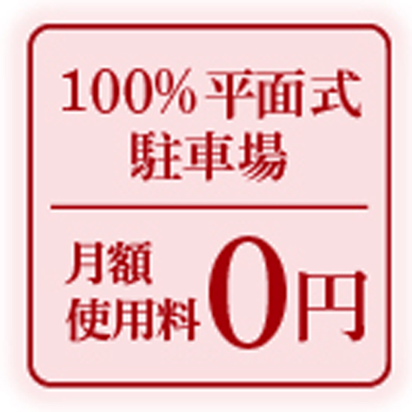Other.  [100% plane expression Parking] The site, Also down and out of the car is easy luggage loading a smooth plane parking ensure 100%. The car life, You comfortably support (logo)