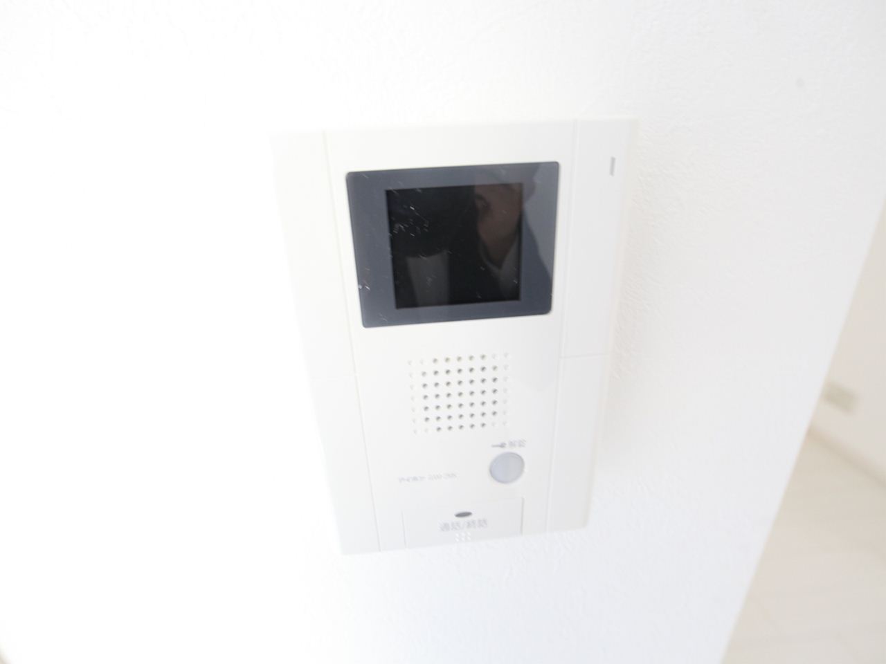 Security. Intercom with TV monitor