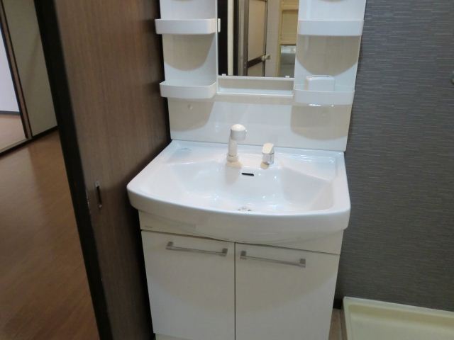 Washroom. Shampoo dresser! 