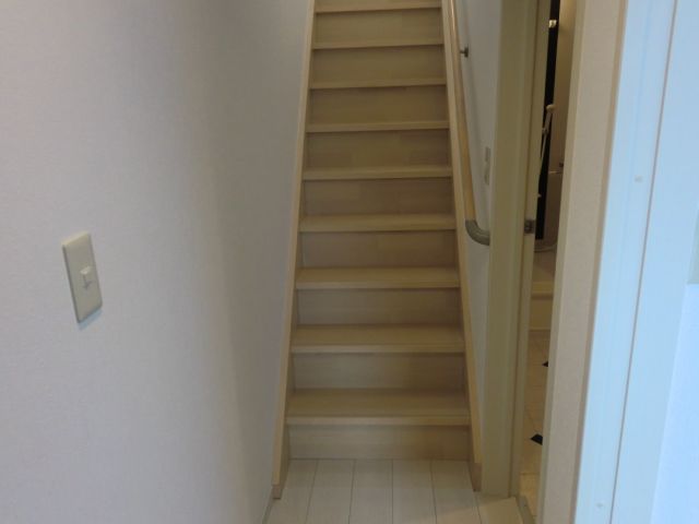 Other. It is a short staircase on the front door. 