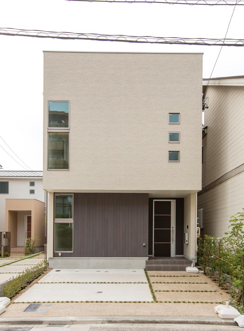 Local appearance photo. A Togaikan