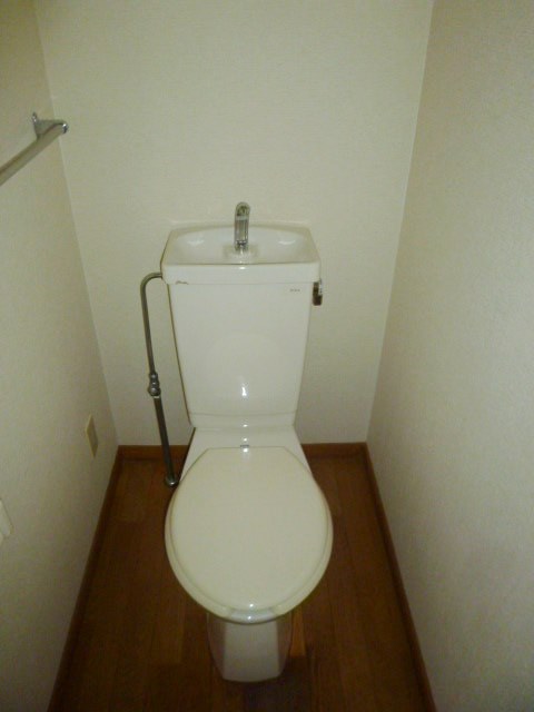 Toilet. Western-style toilet