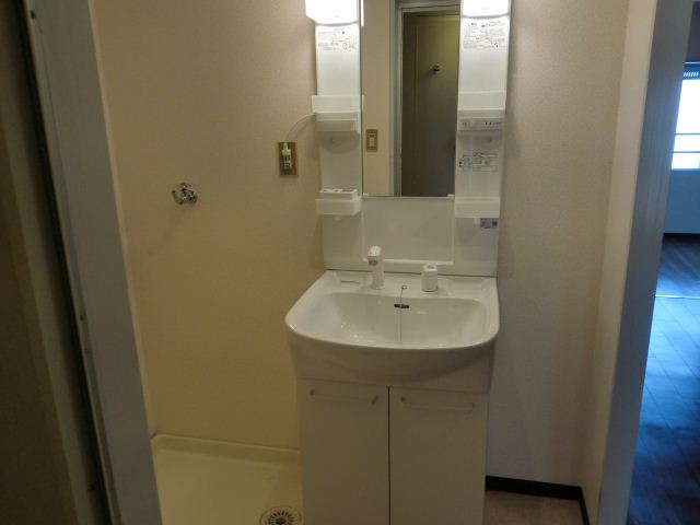 Washroom. Shampoo dresser! 