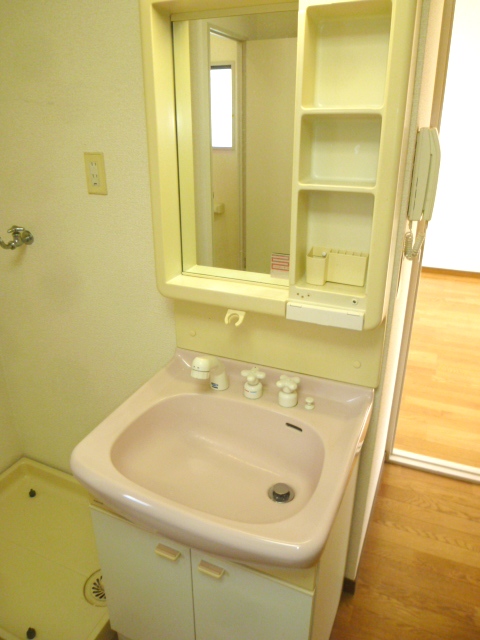 Washroom. Shampoo dresser