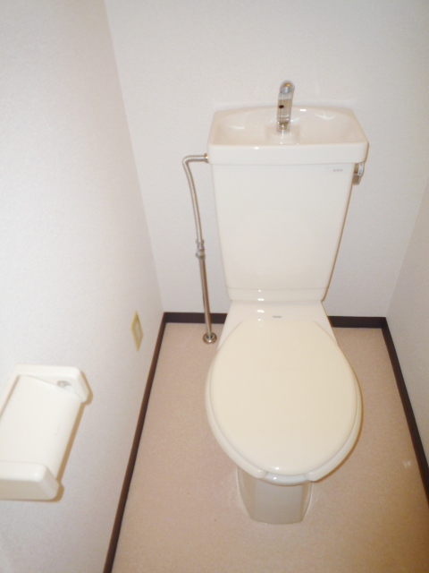 Toilet. Western-style toilet