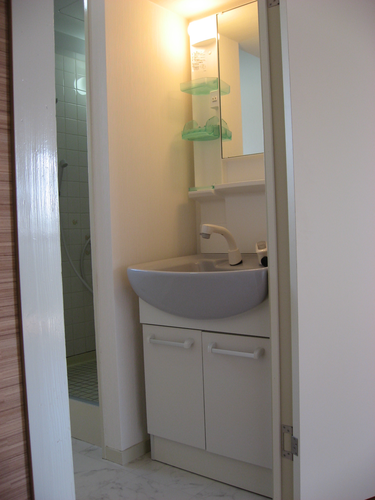 Washroom. Independent wash basin (shower head)