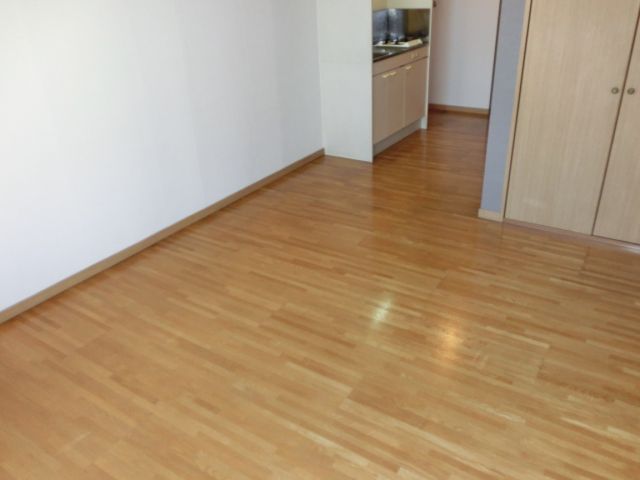 Living and room. Flooring of glossy spreads.