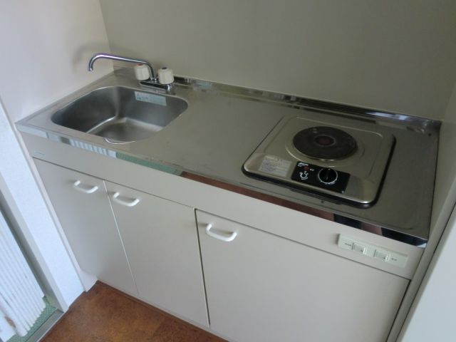 Kitchen. Electric stove with a mini kitchen