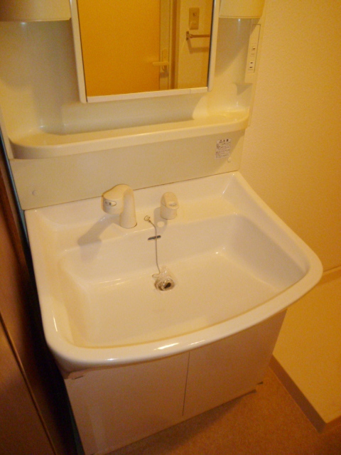 Washroom. Independent wash basin (shower type)