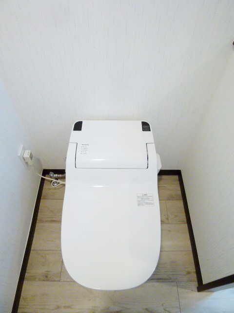 Toilet. Washlet with WC