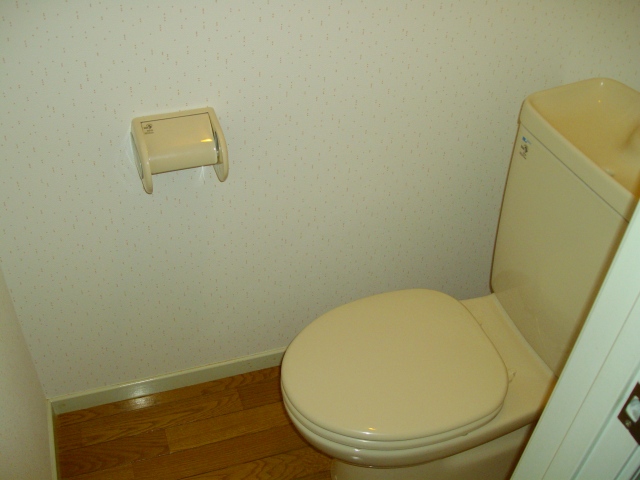 Toilet. Also specifications with cleaning toilet seat