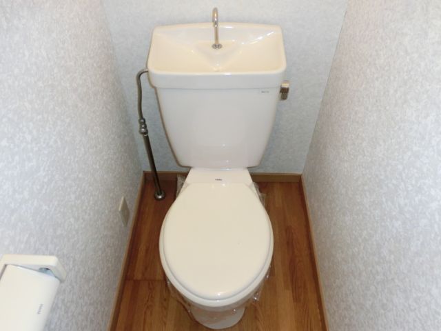 Toilet. It is a clean rest room.