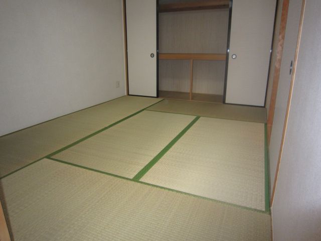 Other room space. There are storage closet plenty The Japanese! 